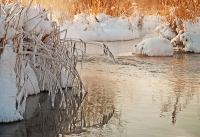 Обнял иней траву у  ручья ...
