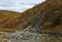 Меж каменистых берегов он стойко путь свой пролагает