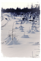 Просто зима...