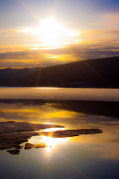 Романтика цвета