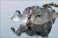 Наукой не опознано...