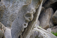 Лики природы "Гаргулья"