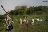 Стоянка на Светлой