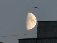 Над Гагарина 28