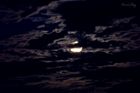 Волчье солнце