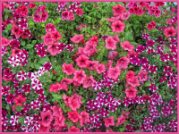 Цветочное панно