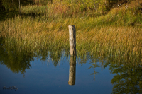 Зеркальная гладь..