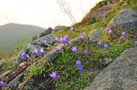 воспоминания о лете