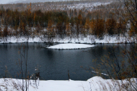 времена года