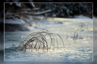 Все зима сковала льдом...