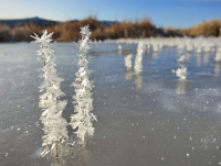 Маленький мир