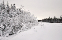 наконец-то зима! :)