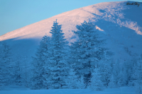 Зимний рассвет