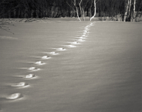 По тропинкам, что нам незнакомы...