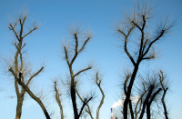 про пляшущих человечков