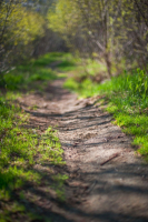 Тропинка в сказку