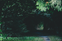 вход или всё таки выход