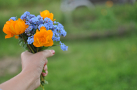 летнее настроение