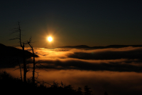 ..город спит в мягкой постеле