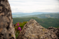 Последний месяц северного лета