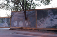 В Сочи деревья ценят больше.