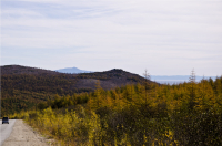 1:0 в пользу осени