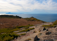 Путешественники