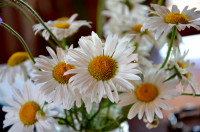 Я уже скучаю по лету,а вы?