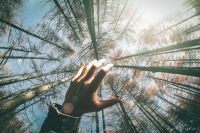 сверхширокоугольная осень