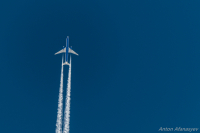 Transaero на Москву