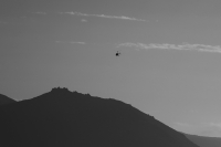 Стрекоза над Венцом.