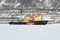 весь лед падла поломал