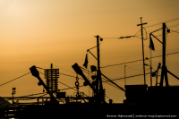 В ожидании весны