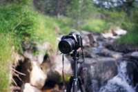 сладоедов кенон