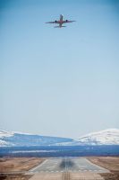 Дикий споттинг 2016