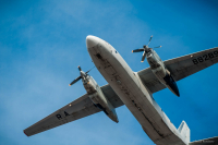 Дикий споттинг 2016