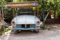 Старый конь