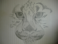 Рисунок на стене