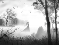 сновидения