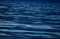 Полёт над морем