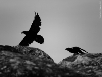 Кто успел - тот и съел  :)