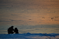 уроки фотографии