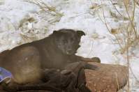 Ну ты заходи,если что...