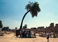 Под тенью пальмы