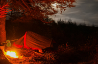 Луна глядит на сонный мир земной...