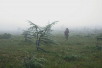 В погоне за кадром