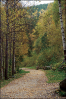 Терренкуры Белокурихи