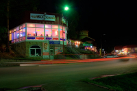 Белокуриха ночная