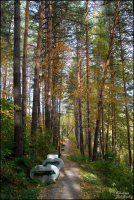 Терренкуры Белокурихи