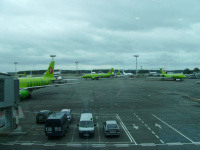 для тех кто любит зеленых